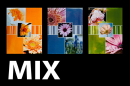 Minialbum 10x15 pro 64 fotek Florid-mix barev